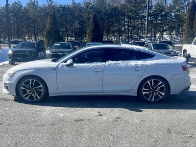 2024 Audi S5 Sportback Premium Plus